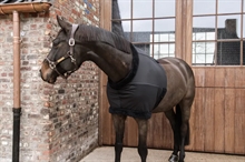 Kentucky bringebeskytter